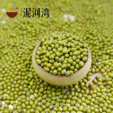 2016 новый урожай зеленых бобов мунг для рассады на горячем продажу,китайского происхождения